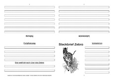 Zebra-Faltbuch-vierseitig-2.pdf